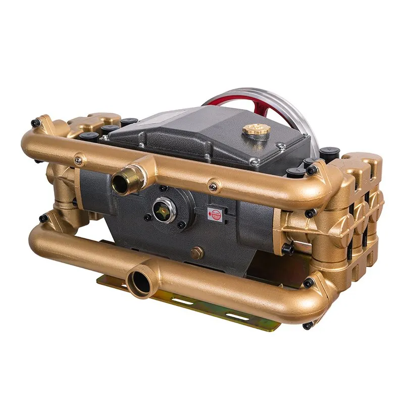 Специальный плунжерный насос для подачи воды с высоким-распылением (6 плунжеров)